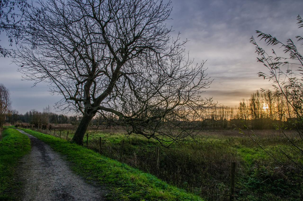 De Koolputten Waasmunster Esterno foto